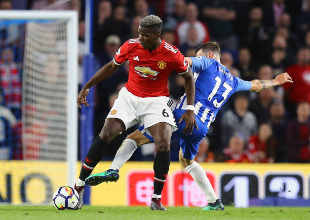 报告指出 报告指出